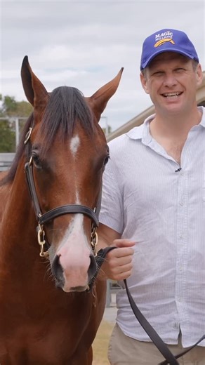 Between nearly loosing my toes, flying hats and coffee catastrophes, we had a blast at the 2025 Magic Millions Yearlings Sale! And as polished as our sales videos are, with me around there’s always some sort of controlled chaos behind the scenes! Was she aiming for my hoof, or what?! 😂 17 fantastic top-quality yearlings bought by me and the team plus a handful more to train it’s been a great sale 🤗 | Bjorn Baker Racing