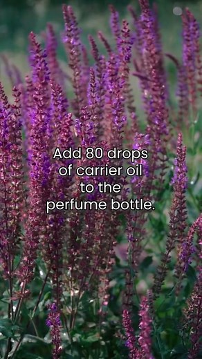3.7K views · 14 reactions |  How to make your own perfume  Get our Perfume Making Diploma Course for just £29 with code TIKTOK29  https://www.centreofexcellence.com/shop/perfume-making-diploma-course/ #perfume #fragrance #parfum #perfumelovers #fragrances #DIY #DIYperfume | Centre of Excellence | Facebook