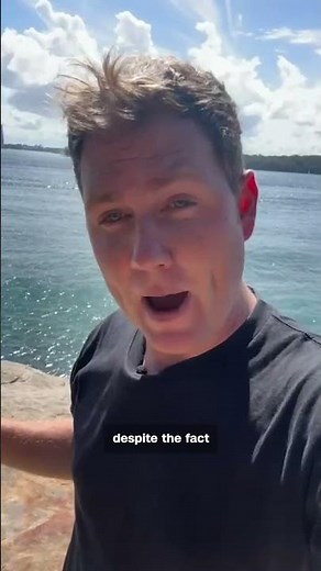 Four shark attacks in 48 hours