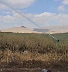 80K views · 767 reactions | Nomad men works hard to save his family | Cooking TV | Facebook