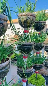 2.9M views · 42K reactions | Torre para cultivar em pequenos espaços #planta #jardinagem #jardim #horta | Gráfico de crochê | Facebook