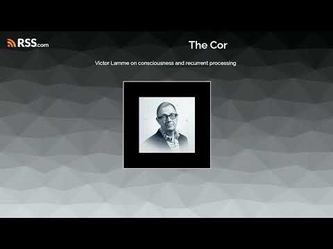 Victor Lamme on consciousness and recurrent processing