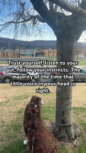 #shorts #trending #viral #fyp #life #trendingshorts #youtubeshorts