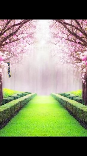 vídeo mais engraçado de comédia #comédia #engraçado