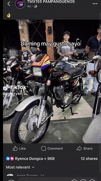 Honda TMX 155 Mulawin: All Stock Overview