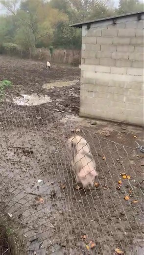 Good morning from Canabal. What do you have planned for the weekend? | Craig Briggs