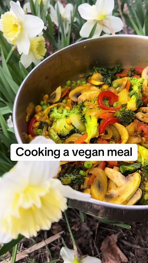 Easy Vegan Meal Cooking Recipe