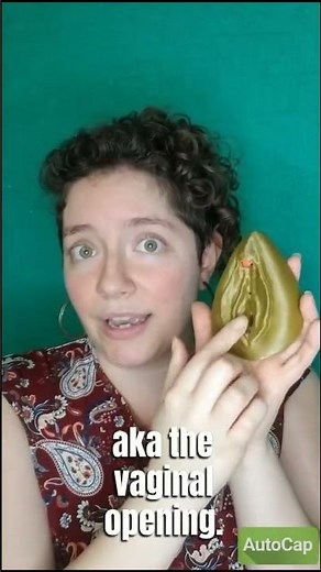 Vestibular Papillomatosis Explained — It’s NOT What You Think! #DrYael