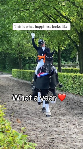 What a year… Broke now though 🤣 #friesian #friesianstallion #stallion #friesianhorse #fries #dressage #fyp