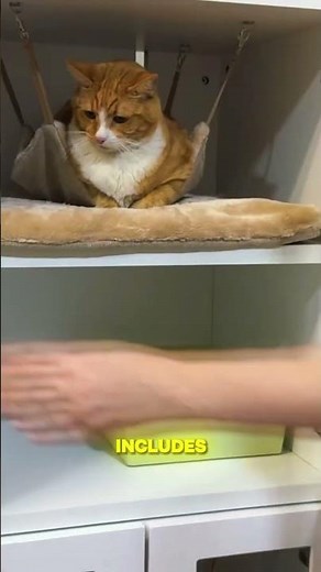 Modular Indoor Cat Enclosures | Cat StaX Stackable Housing System