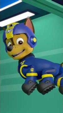 Rubble & Chase catch flying pigs! 🐖 #shorts