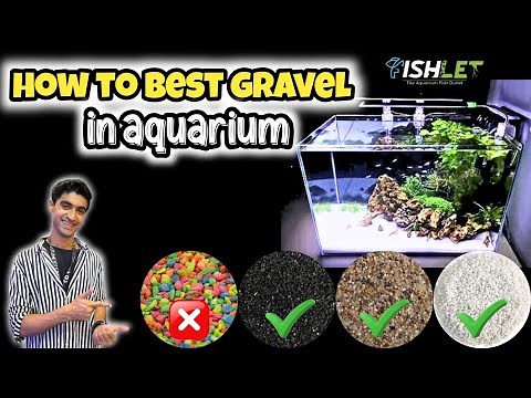 Best Gravel for Aquarium Fish Tank | Avoid This Common Mistake!