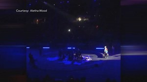 Safety of circus acts investigated