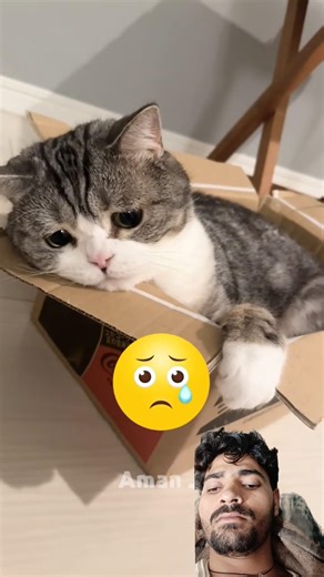 Dekho bhai Raat mein ek bacche ne kaise Gayab hua achcha nahin to Bhai subscribe karo