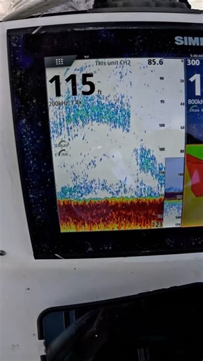 This is an Easy Way to catch mangrove snapper offshore of Tampa Bay! #snapper #tampabay #offshorefishing #deepseafishing #mangrovesnapper | Groupermvp