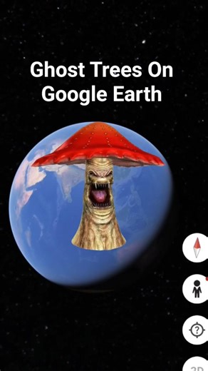 😶‍🌫️😶‍🌫️Ghost Trees On Google Earth and google map🗺️#short #reel #explore #mystery #googleearth