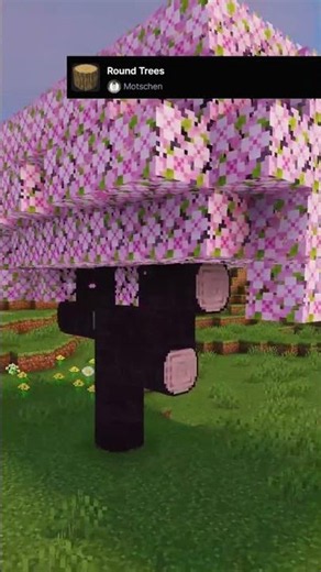 BEST Minecraft Resource Pack I Part: 5 I