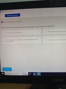 Question:In the Chart of Accounts report, what does a ledger's... | Filo