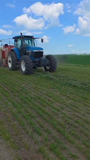 Baling and wrapping hay! #agriculture #farm #newholland #farmer #farming #bale #farmlife #fblifestyle | Bosue Thompson | Facebook