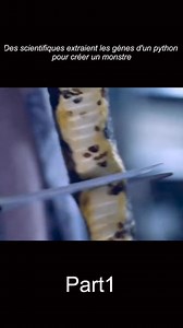 Des scientifiques extraient les gènes d'un python pour créer un monstre #fypシviralシ2024 #fypシ゚viralシ #fypシ #videos #millionaire | Pfe Wa
