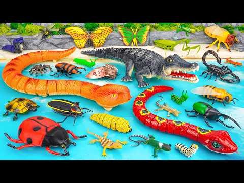 127 Mins ZURU Robo Alive Insects ASMR 🦎 Huge Anaconda, Snake, Crocodile, Bee, Turtle