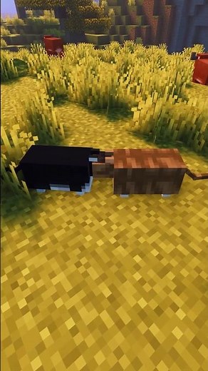 This texture pack makes cats 100 times cuter! #minecraft