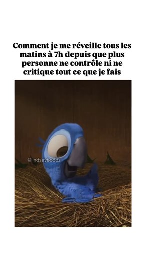 Lindsay Boobz on Instagram: "Best life ever 🥰 #relationtoxique #narcissique #manipulateur #violenceconjugale #violencepsychologique"