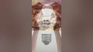 T3 and T4 Bulb Differences shorts