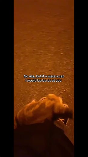 Rintarō Okabe✵ on TikTok