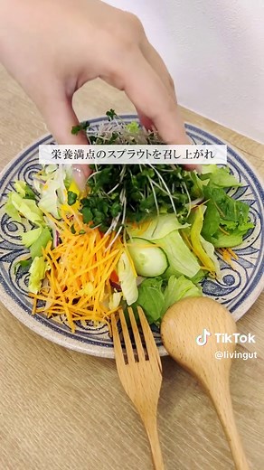 お洒落でスーパーフードを育てる時代🌱#豆苗#豆苗プランター#ブロッコリースプラウト #スプラウト #栽培 #栽培キット #ライフハック #スーパーフード