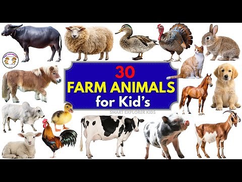 30 Farm Animals for Kids 🐄 | STEM Early Learning & Fun Animal Vocabulary Learn with Pictures