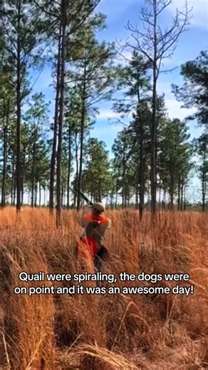 Charity Quail hunt went amazing! Im glad we were able to be a part of it! Love and prayers to the Smith Family. #hunting #QuailFarm #birddog #uplandhunting #giving