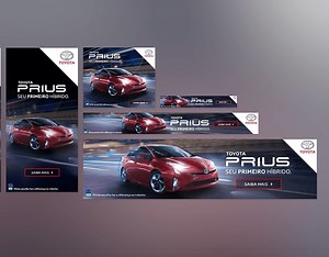 Toyota Prius - Eric Rossbach