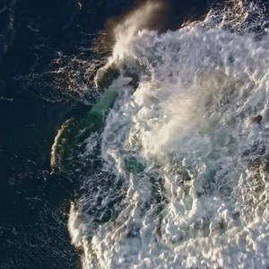 1M views · 7.1K reactions | Embark on a journey where epic wildlife waits at every turn. Join us for an awe-inspiring look at Alaska’s natural beauty. | Holland America Line | Facebook