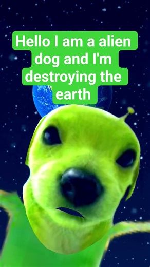 alien dog be like