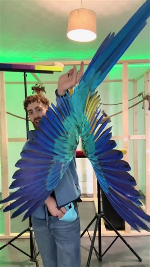 Funny Parrot Skills and Hilarious Bird Moments