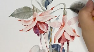 【汐式水彩】视频加载中，速速查收惊喜！