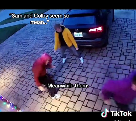 Sam and Colby Memes: Mean but Funny