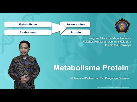 Biokimia: Metabolisme Protein