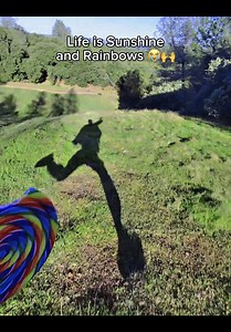 Amazing Smooth Trees & Nature's Beauty