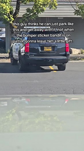 Bumper Sticker Bandit: Upholding Justice Through Parking Etiquette