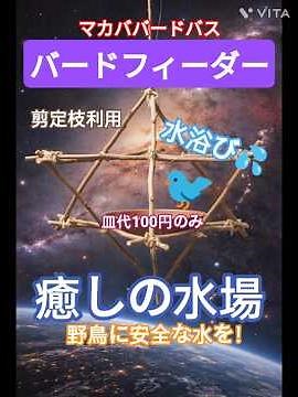 自作『剪定枝でマカババードフィーダー』皿代１００円でハンドメイド野鳥の安全安心の癒しのガーデンオアシス 水浴び水飲み場を 神聖幾何学 ヒンメリ 野鳥を保護する魔法陣