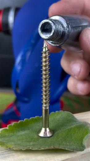 Fact Fusion Day | 🤯 "Armored Screw" DIY Hack! (Translation and excitement) Screw & Glue Trick to make it STRONGER! (Focus on the materials and result) How... | Instagram