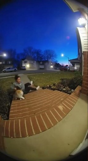 Cat Fires a Rocket Launcher… Then the U.S. Military Shows Up 😳💥