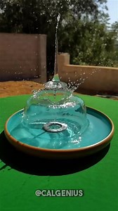 1.7M views · 9.9K reactions | Human Curiosities 勞 #curiosity #human #facts #LearnOnTikTok ... | Callum | Facebook