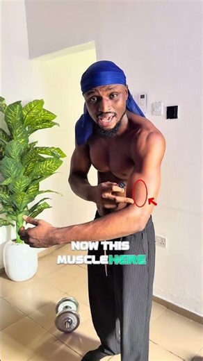 How to grow your brachialis for a fuller arms #fitness #posture