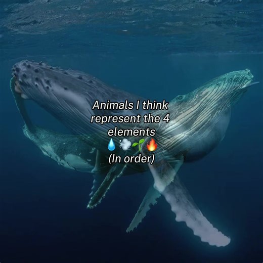 Survival Strategies of Unique Animals