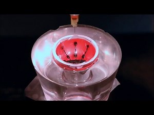 New Research Takes Us One Step Closer to a Bionic Eye