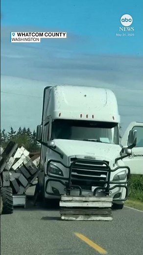 Millions of bees on the loose after truck carrying hives crashes