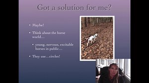 Denise Fenzi - The Fenzi Method: Cutting Corners to Loose Leash Walking Thursday, December 16, 2021 Time: 3pm Pacific Time https://bit.ly/33D2dw1 | Fenzi Dog Sports Academy